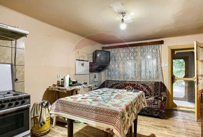 Casa solida cu 4 camere, demisol ?i garaj Pecica - 17