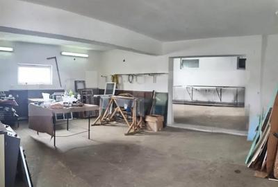 Spațiu comercial, de 144 mp, în Ulmi - 11