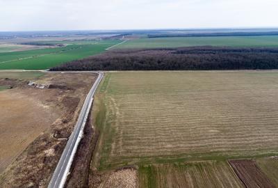 Teren intravilan la asfalt si statie autobuz Ilfov Cernica Posta - 16