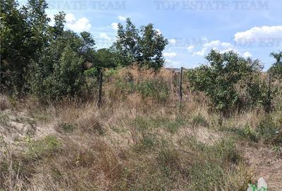 Teren de 1725 mp, în Cornetu - 8