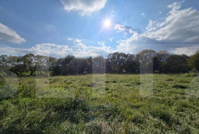 Teren de 1200 mp, în Sălicea