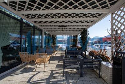 Proprietate specială, în Gârleni - 35