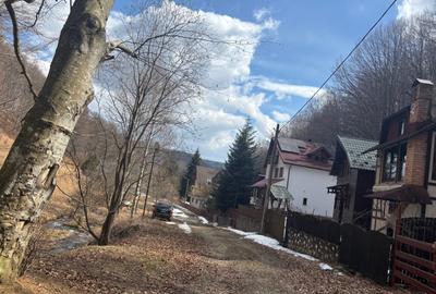 Teren agricol extravilan de 39.5 mp, în Măneciu - 14