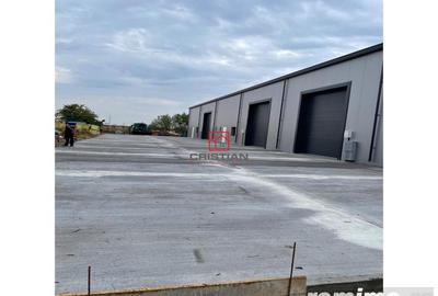 Inchiriere depozit hala spatiu industrial Pantelimon - Centura - 5