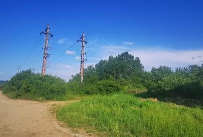 Teren intravilan 5 hectare comasat Bocsa 6 euro mp negociabil - 4