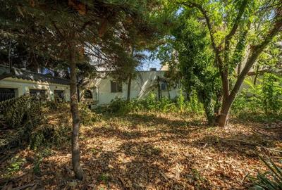 VILA CU POTENTIAL URIAS - str Matei Basarab, Unirii-Udriste-Coposu - 31