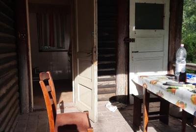 Vila Marica Elegan?a interbelica in inima Brezei - 11