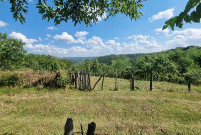 Teren în Milcoiu - 4