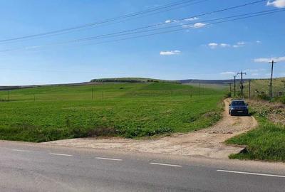 Teren de 10000 mp, în Iclod - 5