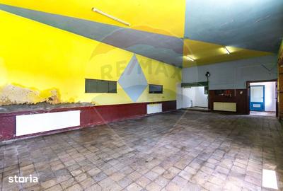 Casă cu 4 camere cu Teren 587 Mp în Mănești - 17