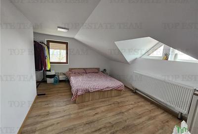 Vila regie proprie 5 camere+crama centru Domnesti - 10