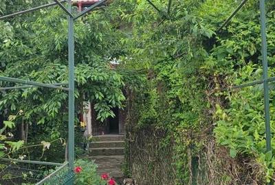Casă cu 4 camere cu Teren 270 Mp în Central - 3