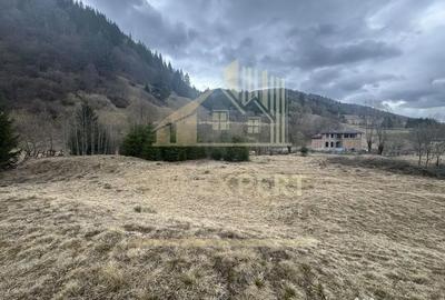 Teren de 7040 mp, în Sătic - 12