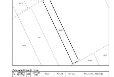 Teren Construcții intravilan de 80000 mp, în Frumușani - 6