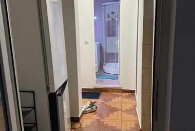 DRUMUL TABEREI - 6 minute metrou Raul Doamnei - Apartament 2 camere DECOMANDAT - 5