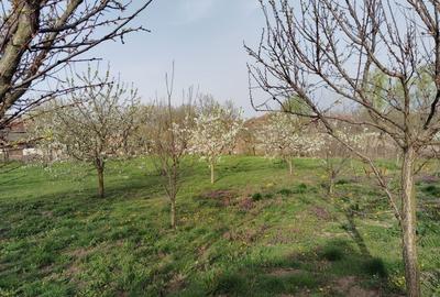 Casă cu 3 camere în Mișca - 4