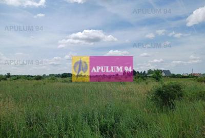 Săbăreni, teren intravilan 1000 mp - 3