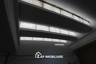 Spațiu industrial, de 250 mp, în Gheorghe Doja - 12