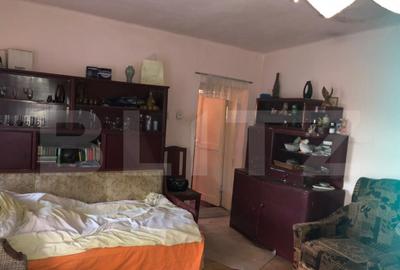 Casa batraneasca, 1500 mp teren, comuna Pomi - 15