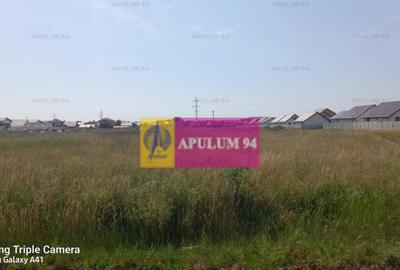 Teren, zona Dobroesti Pantelimon - 5