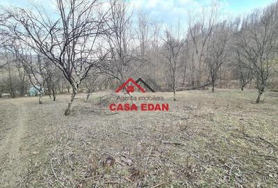 Teren de 3448 mp, în Provița de Jos - 17