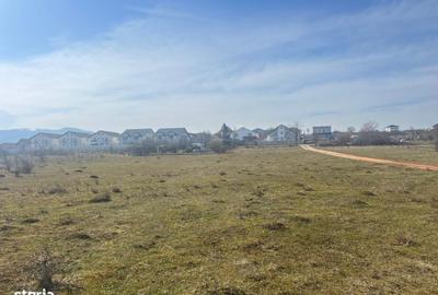 Teren de 1000 mp, în Central