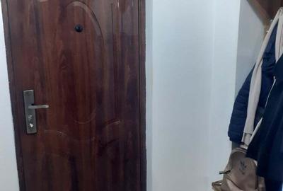 Garsonieră semidecomandată în Brazda lui Novac - 3