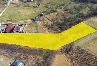 Teren Construcții intravilan de 5460 mp, în Budești - 7