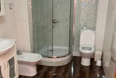 Garsonieră decomandată în Buziașului - 5