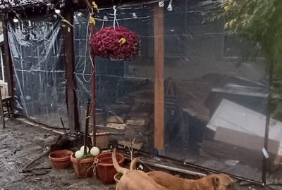 Casă cu 3 camere cu Teren 1354 Mp în Ghindeni