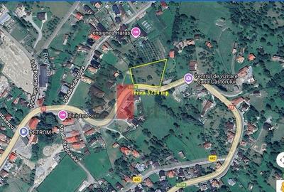 Teren intravilan 3214 mp in Rucar cu deschidere 56 m i... - 3