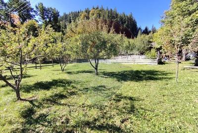 Casa in Vatra Dornei, zona Argestru, cu 11.541m.p. TEREN INTRAVILAN - 10