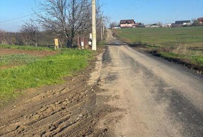 Teren de 5000 mp, în Glina - 2
