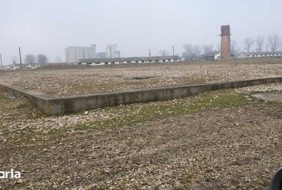 Teren de 15000 mp, în Tinca - 7