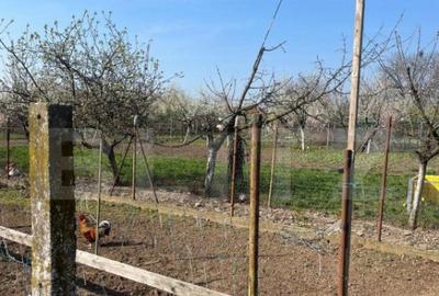 Teren de vanzare 1850 mp front de 21, Sanandrei! - 1