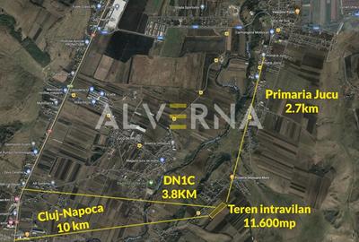 Teren Construcții intravilan de 11600 mp, în Jucu de Sus - 2