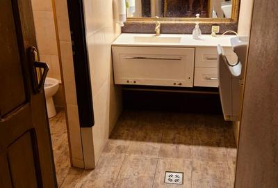 Spatiu pretabil Bar/Pub/Cafenea de inchiriat in zona Mosilor / Armeneasca - 6
