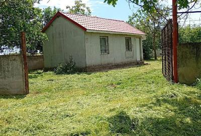 Casă cu 2 camere cu Teren 3500 Mp în Central - 2