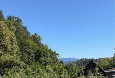 Spațiu comercial, în Tulgheș - 3