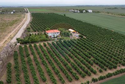 Casă individuală cu 6 camere în Dobrinești