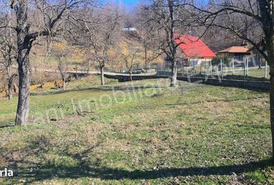 Spațiu comercial, în Doblea - 3