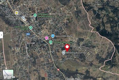 Teren de 5000 mp, în Bucium - 4