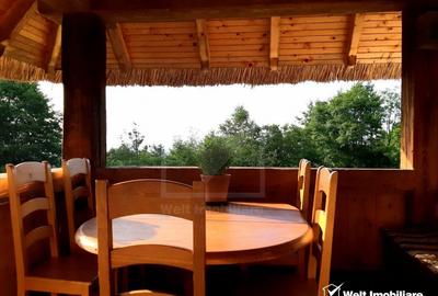 Casa rustica, exclusivista, 5 camere, 170 mp utili, 550 mp teren, Salicea - 12