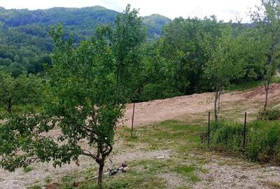 Casă cu 1 camere în Vulcana-Băi - 3