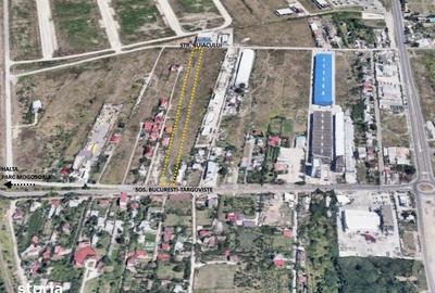 Teren de 10001 mp, în Mogoșoaia