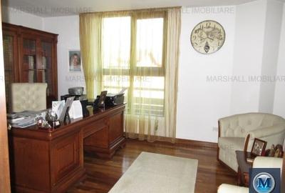 Vila cu 10 camere de vanzare, zona Buna Vestire, 530 mp #12734 - 10