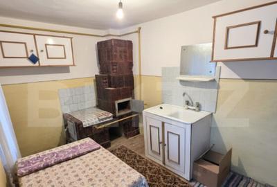 Gospodarie Completa, 130 mp, 1.300 mp Teren, zona Doice?t - 4