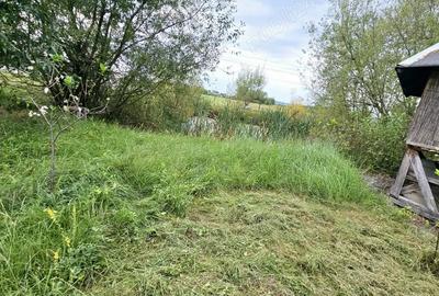 Vand casa+teren, zona Cicarlau, pret usor negociabil! - 12