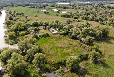 Teren de 11862 mp, în Vulturu - 6