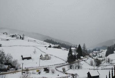 Casă cu 3 camere în Glodu - 9